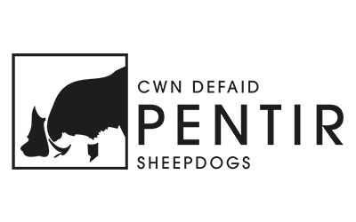 Cwn Defaid Pentir