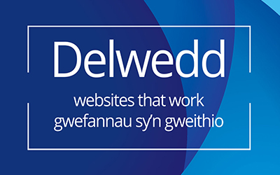 Delwedd 